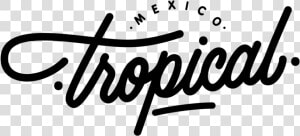 Logotipo Mexico Tropical® 300 Px Mesa De Trabajo 1   Tropical Logo Png  Transparent Png