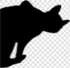  blackcat  halloween  silhouette  cat   Black Cat  HD Png Download