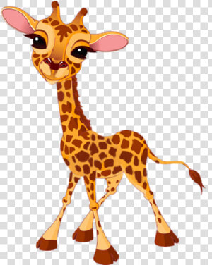 Giraffe Cartoon Png   Giraffe Clipart  Transparent Png