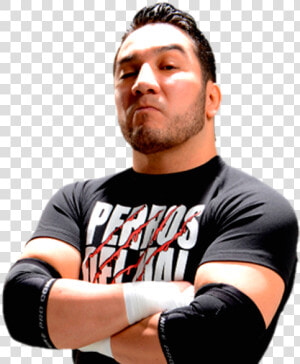 Hijo Del Perro Aguayo   Perro Aguayo Png  Transparent Png