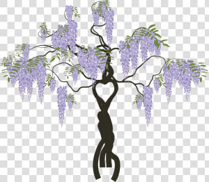 Wisteria  HD Png Download