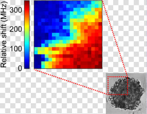     Brillouin Light Scattering Tumors  HD Png Download