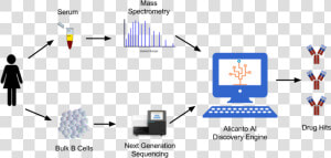 Alicanto Antibody Discovery   Next Generation Sequencing Antibody Discovery  HD Png Download