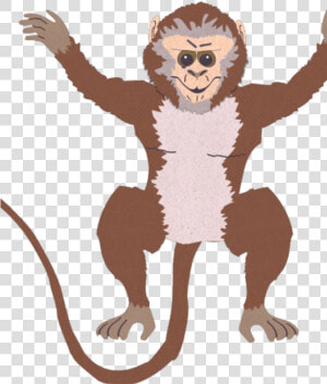 Marmoset  HD Png Download