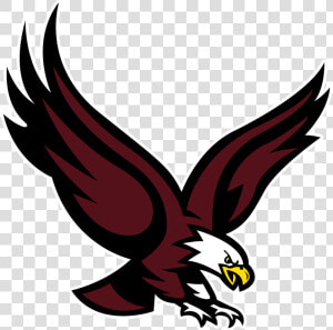 School Logo   Boston College Eagle Logo  HD Png Download