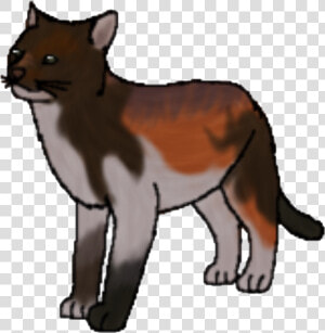 Wildfang Warrior Cats  HD Png Download