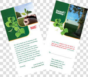 Help Plant The Land Of Israel By Planting A Trees In   Brochure  HD Png Download