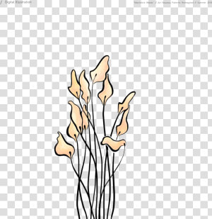 Matchstick Weeds  Art Nouveau Inspired Digital Illustration  HD Png Download