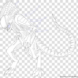 Xenomorph Template  HD Png Download