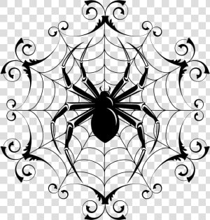 Spider And Spider Web Image   Spider With Web Drawing  HD Png Download