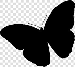 Brush footed Butterflies Clip Art Silhouette Black  HD Png Download