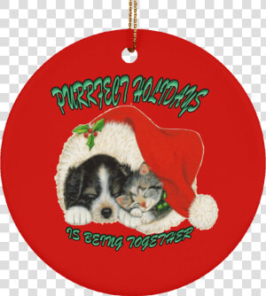 Christmas Dog And Cat Clip Art   Transparent Cartoons   Dog And Cat Christmas  HD Png Download