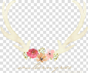 Reindeer Antlers Headband Png   Png Download   Elk  Transparent Png