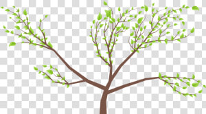 Twig  HD Png Download