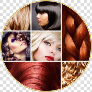 Différentes Couleurs De Cheveux  HD Png Download