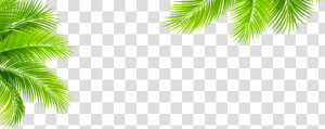 Transparent For Tropical Plant Elements   Tropical Plant Png  Png Download