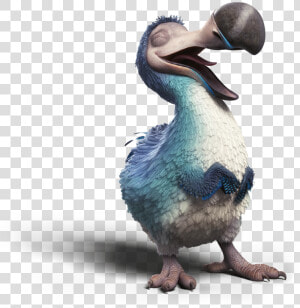 Dodo Laughing   Dodo Bird 4k  HD Png Download