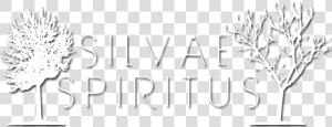 Silvae Spiritus   Tree  HD Png Download