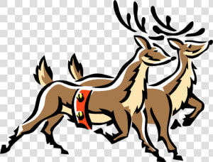 Vector Illustration Of Festive Season Christmas Reindeer   Reindeer  HD Png Download