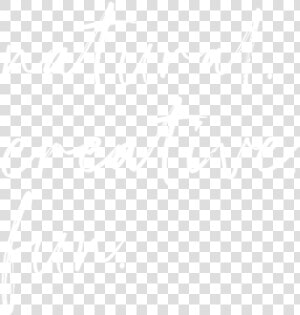 Wedding Photographers Toledo Ohio   Xperia White Logo Png  Transparent Png