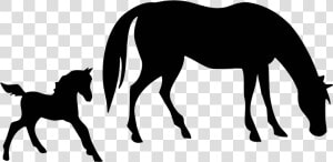 Free Mare And Foal Horse Clipart   Horse And Foal Silhouette  HD Png Download