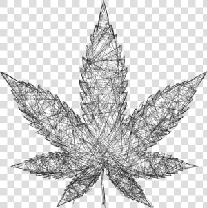 Cannabis Drawing Leaf   Wireframe Marijuana  HD Png Download