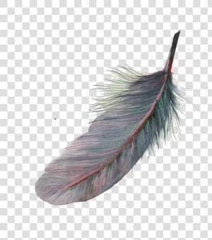 Feather Watercolor Painting Pixel   Watercolor Feather Png  Transparent Png