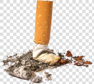 Cigarette Png Free Download   Don T Litter Cigarette Butts  Transparent Png