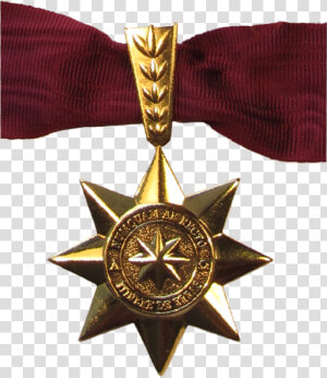 Transparent Estrella Dorada Png   Medallas De Honor En Artes Marciales  Png Download