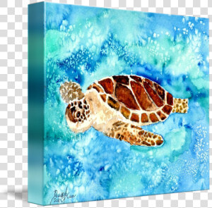 Sea Turtle Sea Life Painting Print By Derek Mccrea   Turtle Painting  HD Png Download