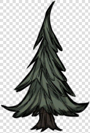 Tree evergreen   Don T Starve Tine Tree  HD Png Download