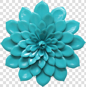 Blue Marigold Massage  HD Png Download