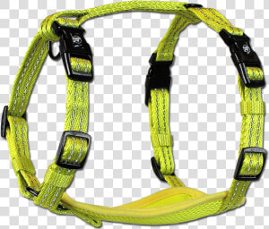 Visibility Harnesses   Reflexní Postroj Pro Psa  HD Png Download