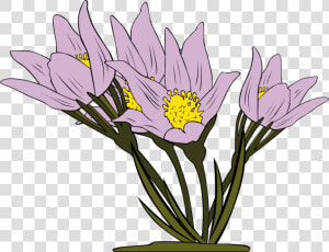 Iris Family plant flower   Flowers Clipart  HD Png Download