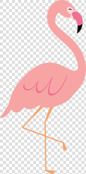 Flamingo Clip File   Clip Art Flamingo Png  Transparent Png