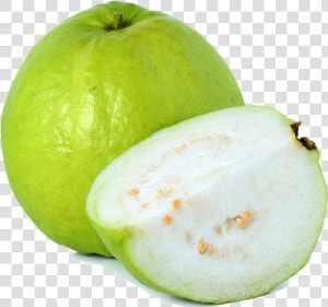 Guava Png   Guava  Transparent Png