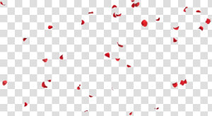 Falling Petals Png File   Falling Rose Petals Png  Transparent Png