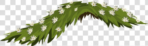 Flowers Jasmine White Leaves Png Image   White Flower Leaves Png  Transparent Png