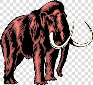 Vector Illustration Of Prehistoric Woolly Mammoth With   Mammoth With No Background  HD Png Download