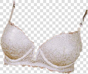 Brassiere  HD Png Download