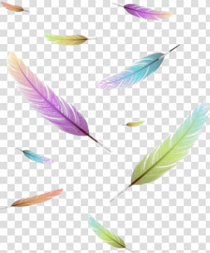  freetoedit  sticker  icon  feder  feather  wrote  write   Feather  HD Png Download