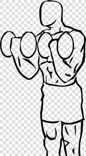 Biceps Drawing Cartoon Clip Art Royalty Free Download   Bicep Curl Cartoon Png  Transparent Png