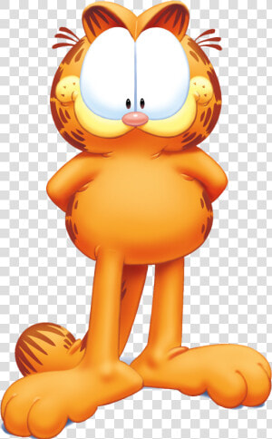 Garfield Png Transparent Image   Care About You My Friend  Png Download