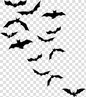 Chauves souris Png  Tube Halloween   Bat Silhouettes  Transparent Png