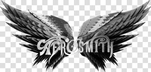 Aerosmith Tour 2020  HD Png Download