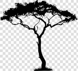 Africa Tree Png   African Tree Drawings  Transparent Png