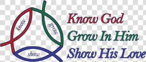 Know Grow Show   Leicester City F c   HD Png Download