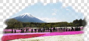 Mount Fuji  HD Png Download