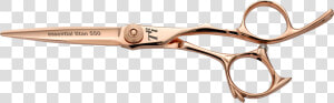 Transparent Hair Scissors Png   Scissors Gold Png  Png Download