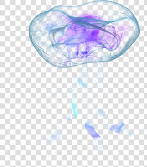 Jellyfish Png   Real Jellyfish Png  Transparent Png